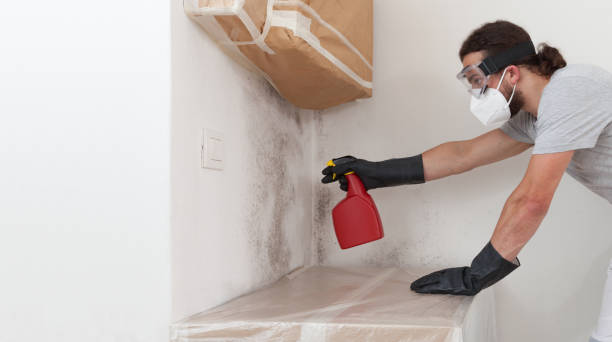 Professional Commercial Mold Remediation technician working in Nutley, NJ