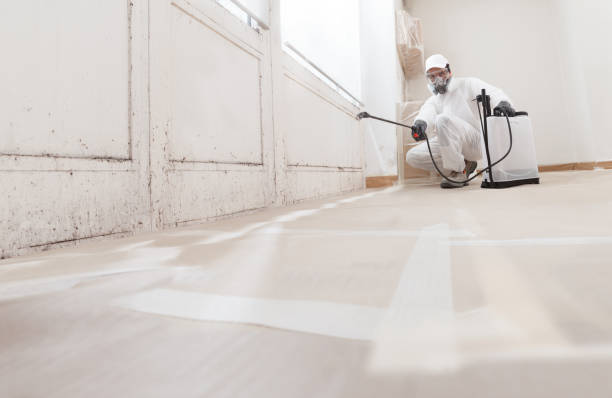 24/7 Emergency Commercial Mold Remediation experts in Nutley, NJ