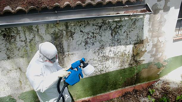 Top rated local Commercial Mold Remediation specialists in Nutley, NJ
